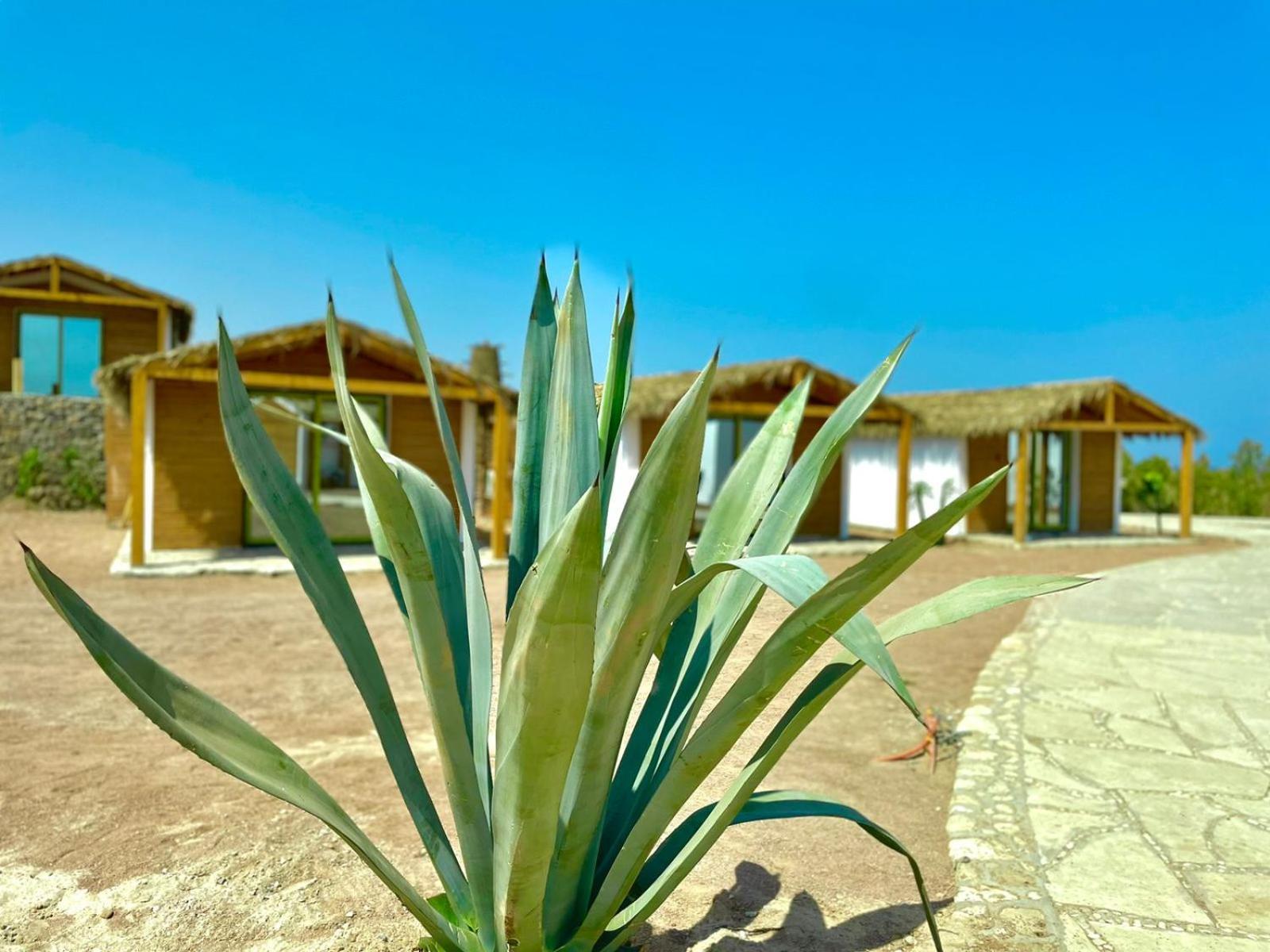 Ananda Beach Camp Nuweiba` Екстериор снимка